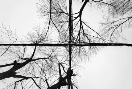 Κρυσταλ Καζίνο Κινητη εφαρμογη